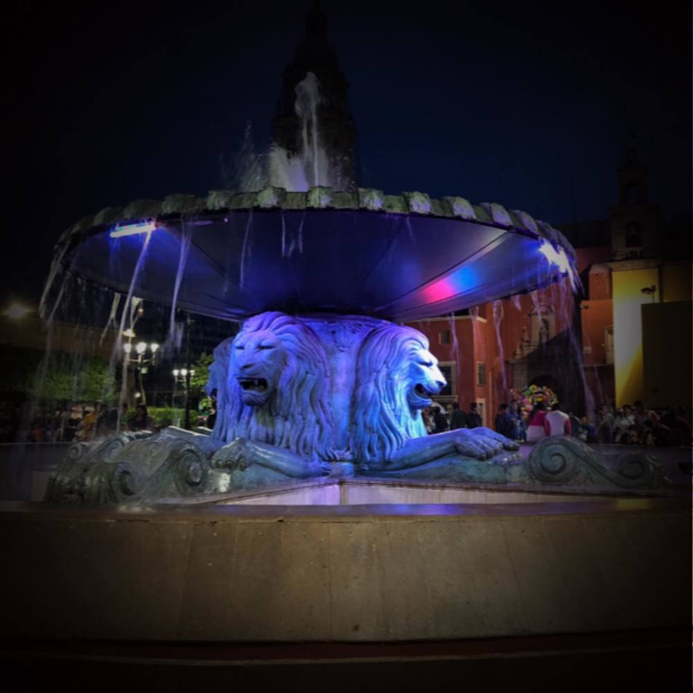 Meet your Posher, Hector